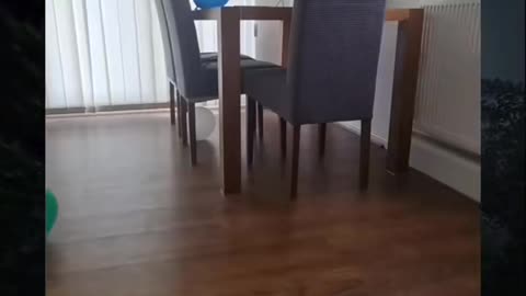 😱👻 What They Caught on Camera Will Give You Nightmares! Ouija & Poltergeist Activity | TheHauntingHo