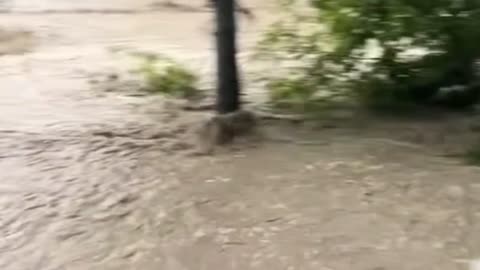 July Flooding in Petersburg, Virginia