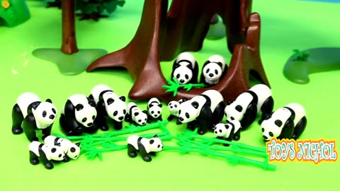 Ten Pandas Build House Together in the Bamboo Forest