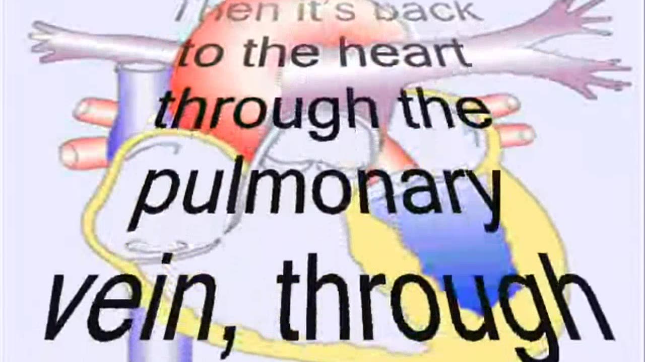 How The Heart Works - Happy Days - Potsie - Pumps Your Blood