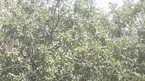 🚀🔥 Israel Iran War | Massive Missile Barrage by Iran Near Ashdod | RCF
