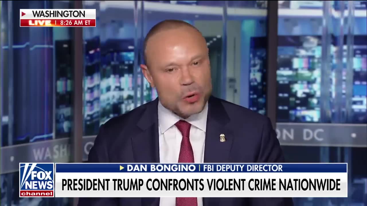FBI Dan Bongino: FBI probes Palm Beach airport hunting stand near Air Force One