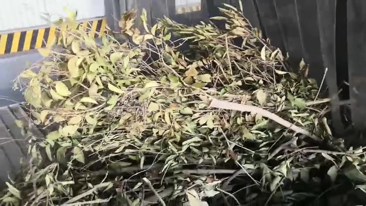 Twin-Shaft Shredder for Garden Waste & Branches!