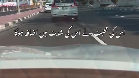 Aslme video