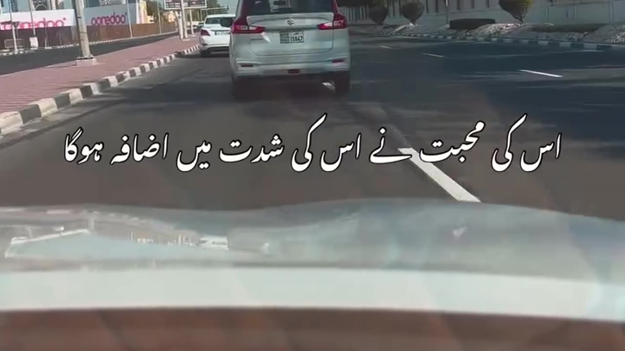 Aslme video
