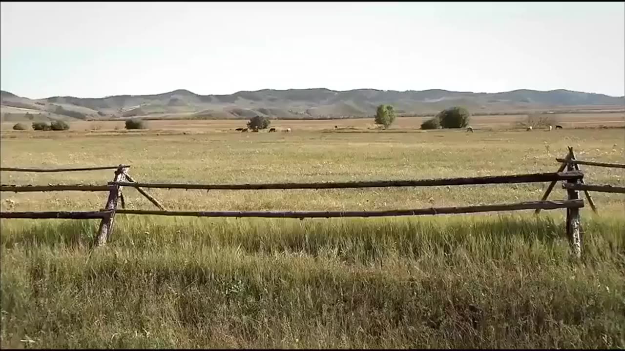 Science Of Fasting FULL DOCUMENTARY