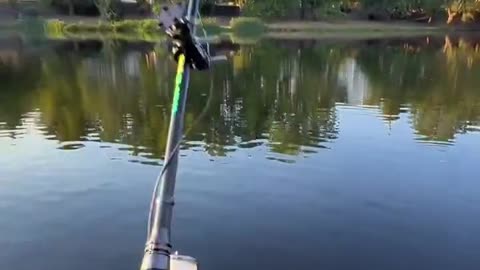 Hook POV