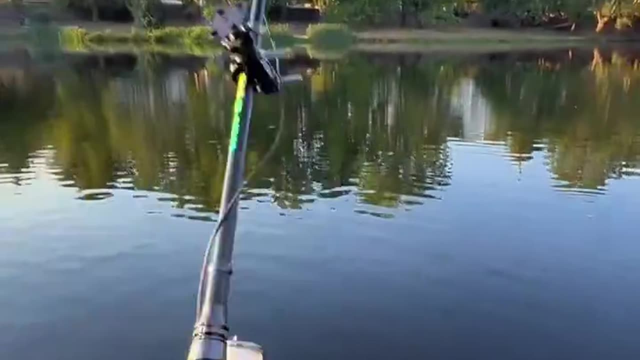 Hook POV