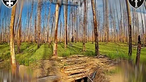 🌐💣 Ukraine Russia War | Ukrainian Fiber Optic Drones Hit Russian Dugouts in Forest | RCF