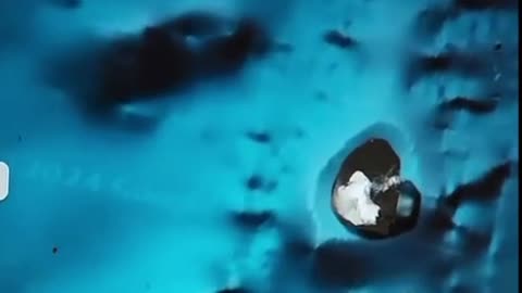 Look at this dragon!