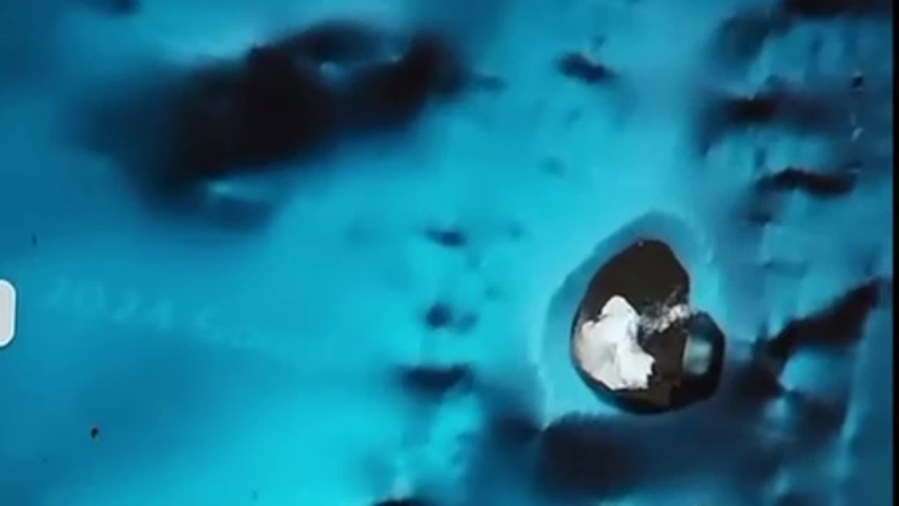Look at this dragon!