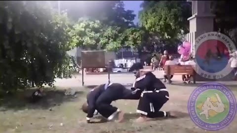 Hapkido