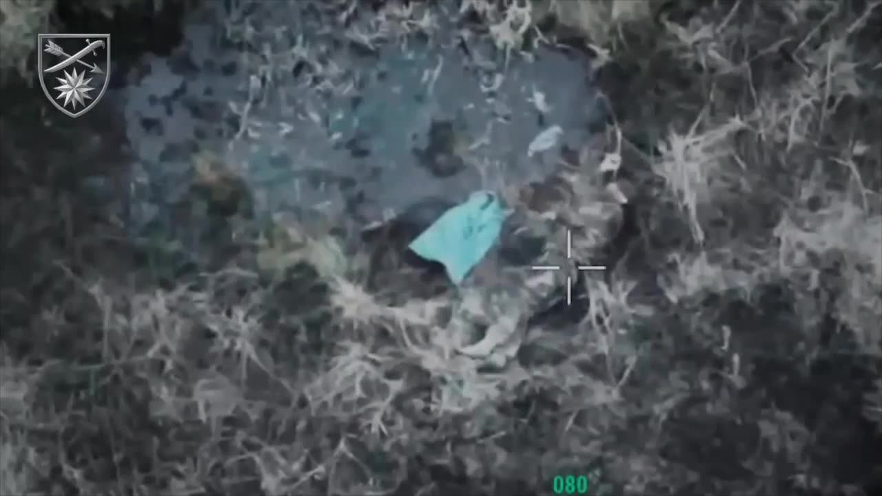 All Predators Know if You Wait by the Watering Hole, the Prey Will Come to You