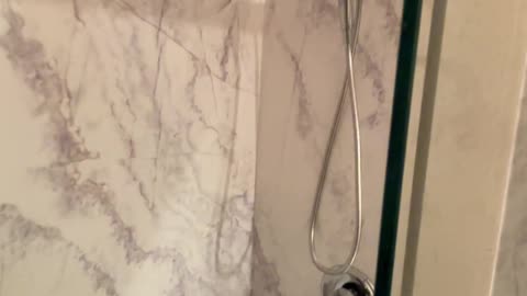 You'll never guess how affordable these wet areas are in 2025