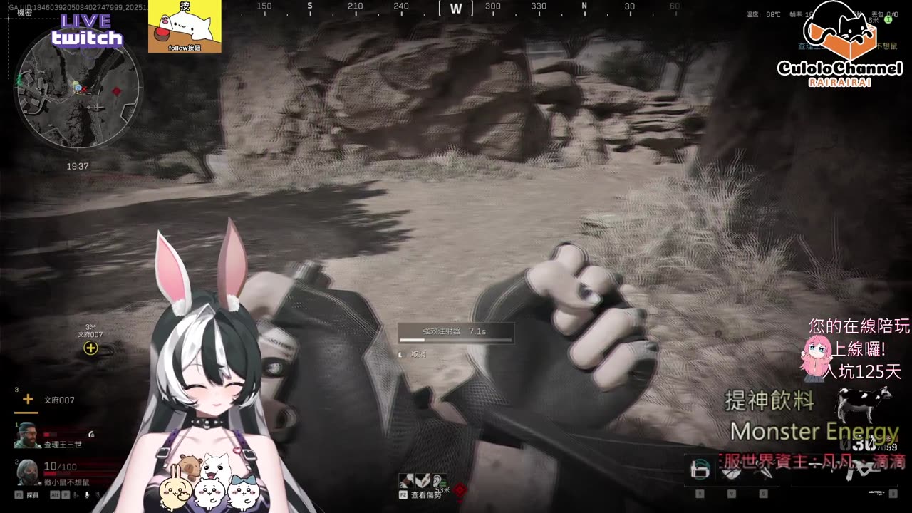 🌱vs🧟‍♀️ New version⭐新手向⭐🥺倉鼠系玩家🥺| 來聊天R ✨💎(๑˃̵ᴗ˂̵)و Culolo Channel(๑˃̵ᴗ˂̵)و 5 Taiwan優質台💎✨