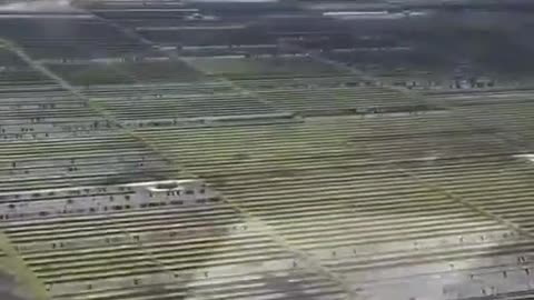 A single hail storm in Damon, Texas, destroys thousands of acres of solar panels.