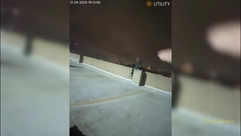 Bodycam shows how Eminem chat helped Indiana officer talk man off ledge