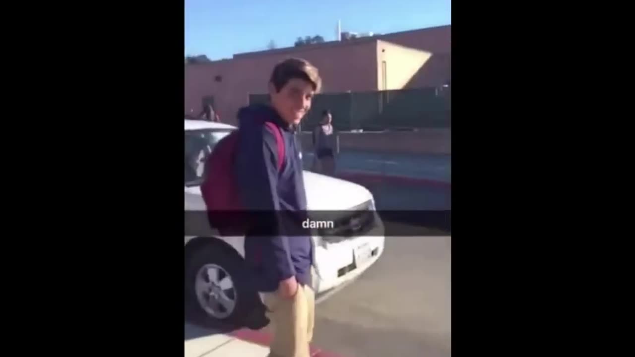 DAMN, PLANT