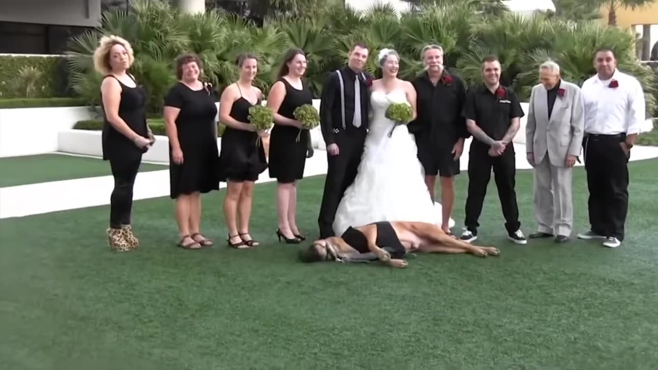 Funniest wedding