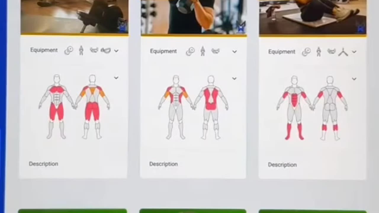 Powerful Websites you should know, generate a custom workout plan