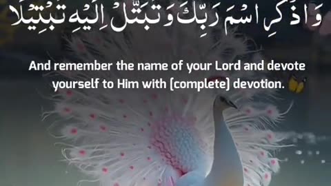 Surah AL-MUZZAMMIL