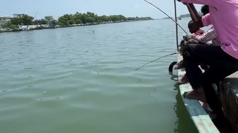 Everyone Thought It Was a MONSTER Fish… But Then THIS Happened! 😂