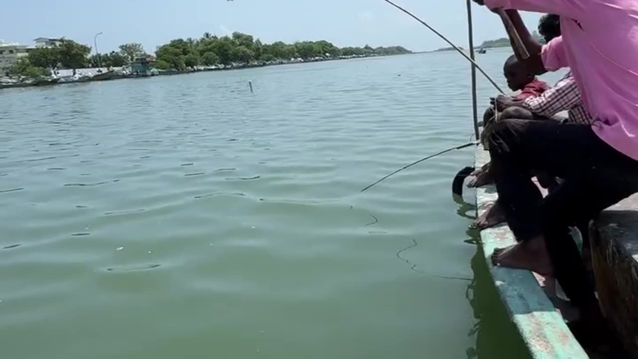 Everyone Thought It Was a MONSTER Fish… But Then THIS Happened! 😂