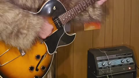 The King Khan BBQ Show I love you so guitar example.