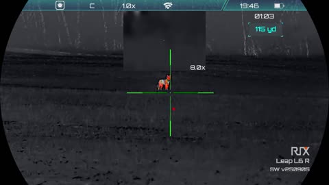 Coyote Smashed by 450 Bushmaster with Leap L6R