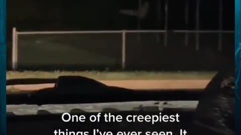 😱👻 The Scariest Creature I've Ever Seen! Windigo | TheHauntingHour