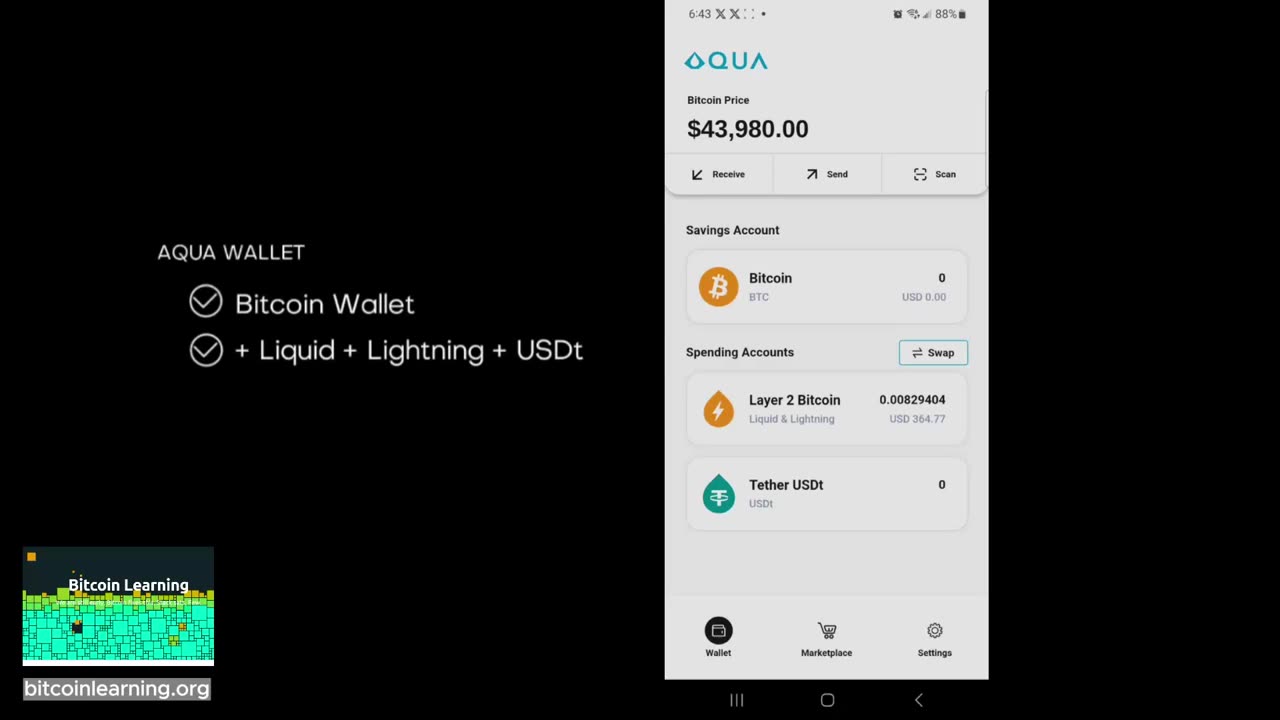 Aqua Wallet Review