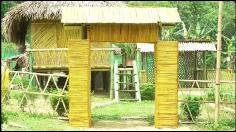 Part 16: Lessons From the Jungle - Wisdom Gained