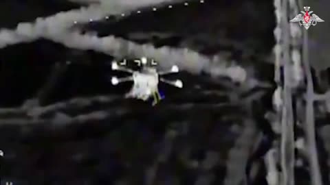 🇷🇺 🏹 🎬 The pursuit of prey without the assistance of a human hunter persists