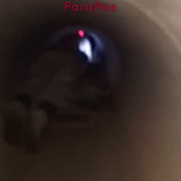 Russian Soldiers Hiding in a Sewer Pipe