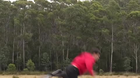 if animals did parkour