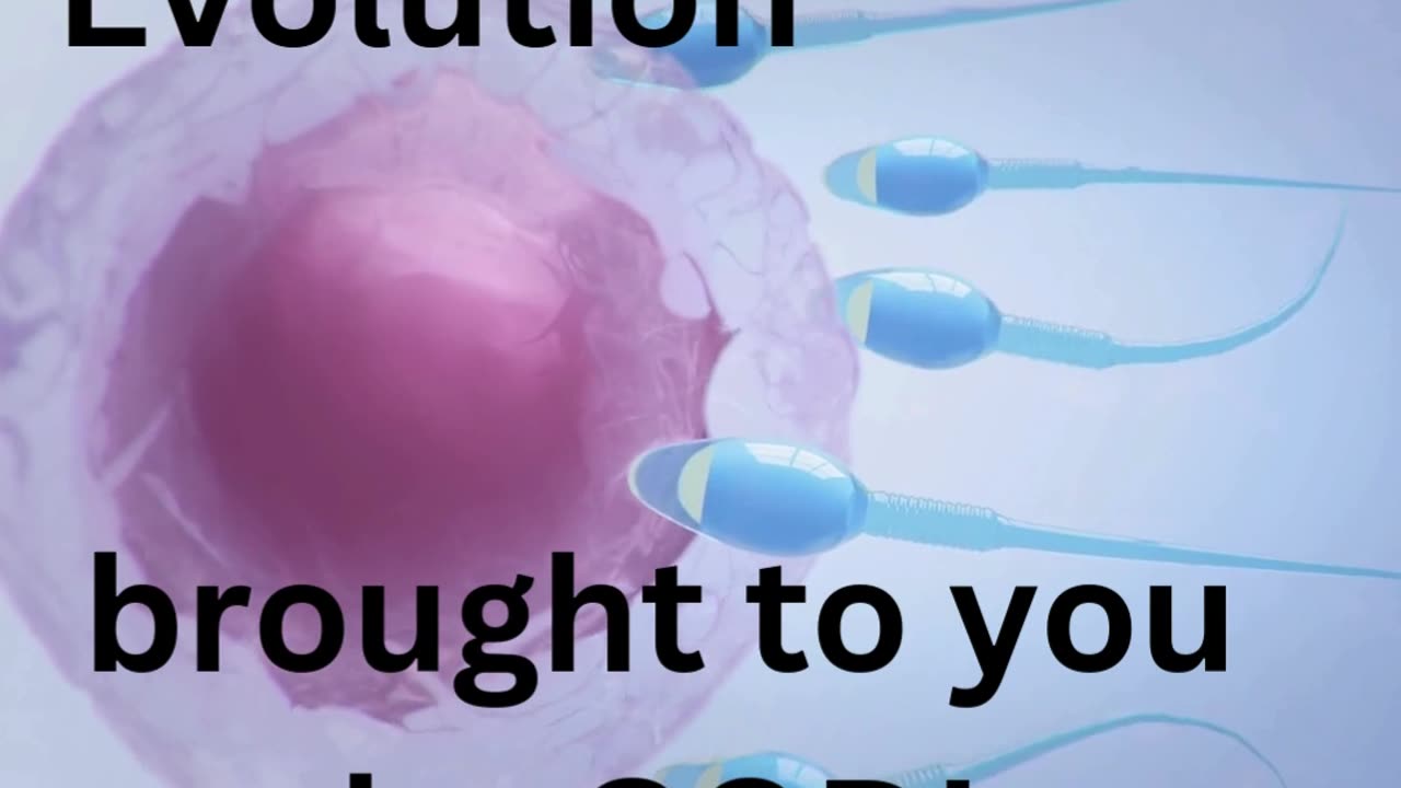Evolution: An Integral Part of God's Plan