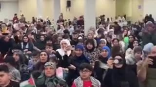 You knew damn well I was a snake before you took me in.