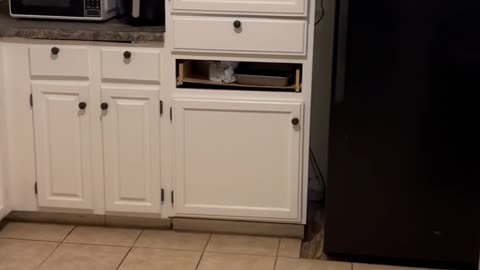 Ep. 855 "Wrinkle In Time" by Patrick Henry The Batman