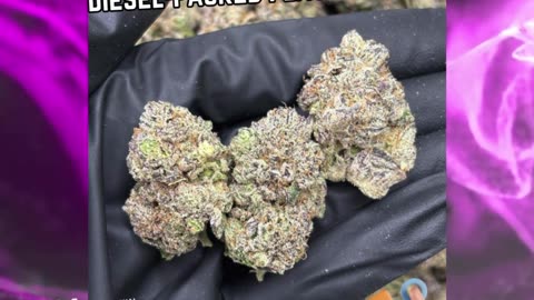 Gas Face | Exotic Indica | 28% THCa | Heavy Hitter | Limonene, Diesel Terps #thcareview #hempflower