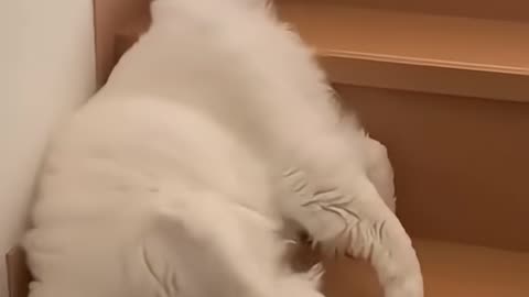 When you too lazy to get up