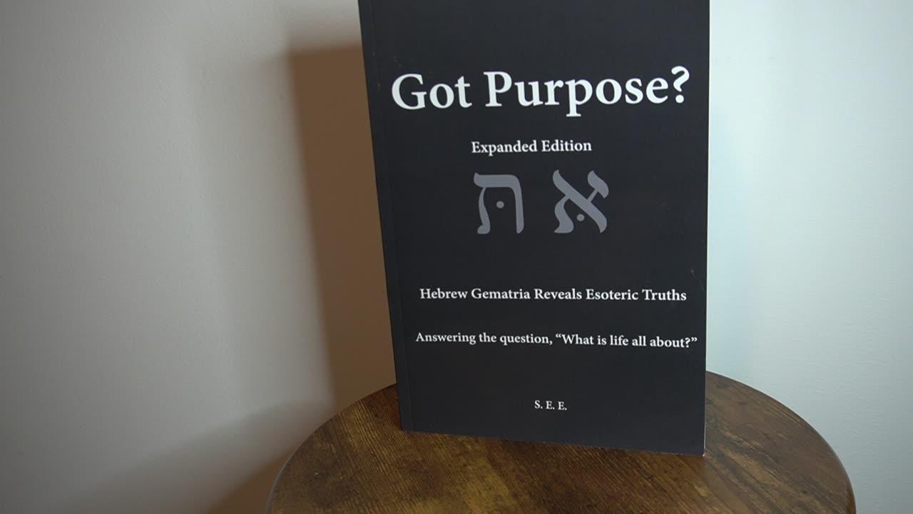 GOT PURPOSE BOOK / CH. TWELVE