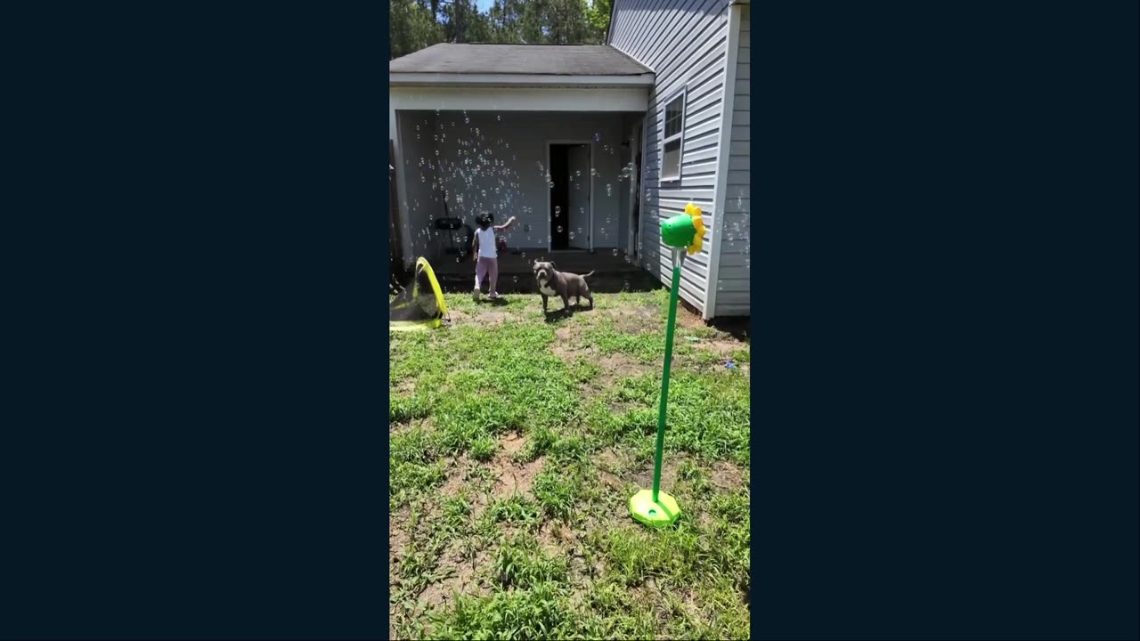 Meet Blue and his family