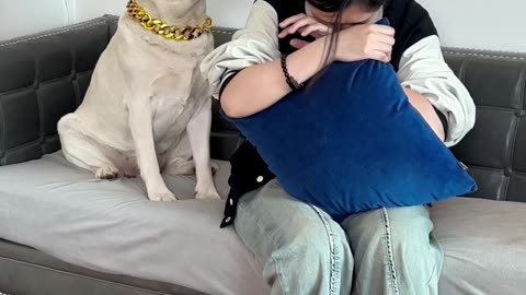 狗子：感谢帮我分担下压力！Dog: Thank you for helping me share the pressure!