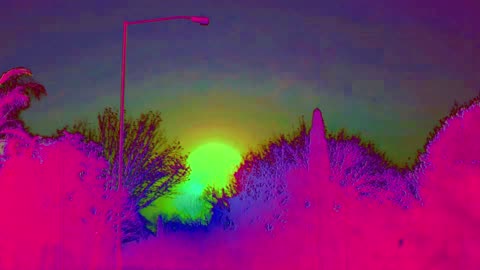 untitled 067