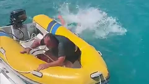 Shocking: Best Fails This Month!