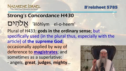 Parashat Breisheet 5785 (2025) - The Nephilim, the Rabbis, and You!