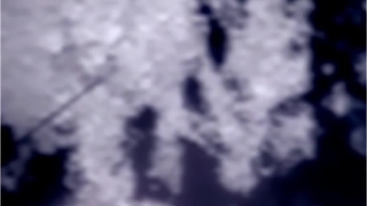 WAV - Distant Mind