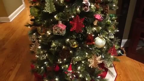 Festiveness (Vlogidays December 20 - 21, 2014)