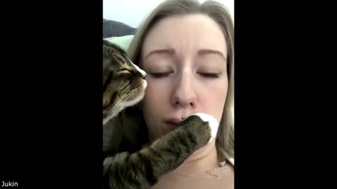 Aggressively Romantic Cat