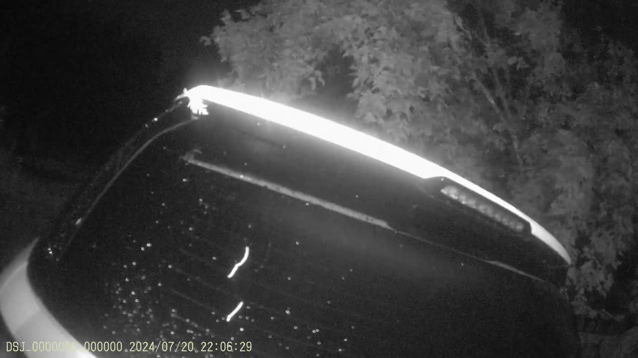 Neighbor Shooting At Me